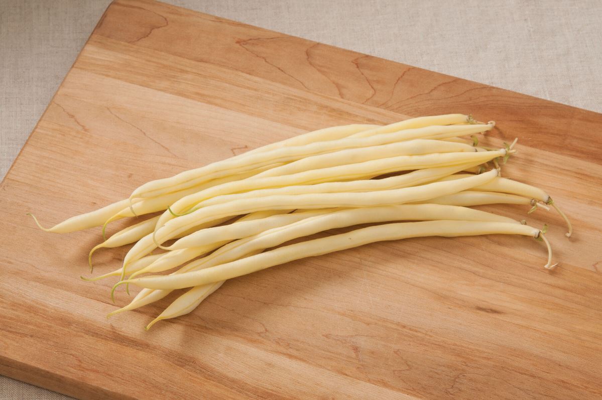 Monte Gusto – Bean Seed